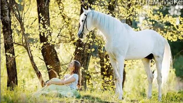 Рада Рай Калина смотреть онлайн