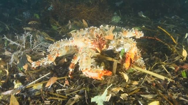 Чистая энергия Дальнего Востока смотреть онлайн