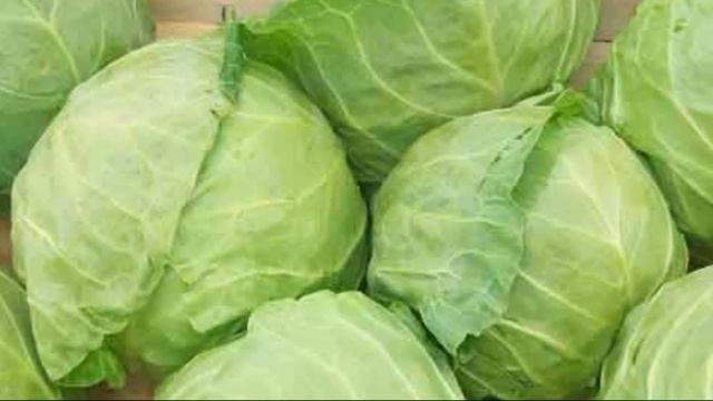 Капусту убирать когда? Всё просто! 3 Главных признака. Когда нужно убирать капусту на зиму? смотреть онлайн