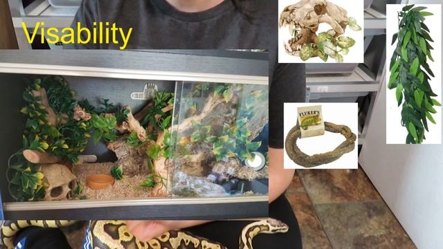 Snake Rack's V's Vivarium's for Ball Pythons смотреть онлайн