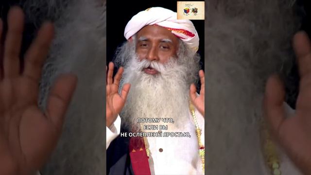 Не позволяйте ярости разрушить вашу жизнь смотреть онлайн