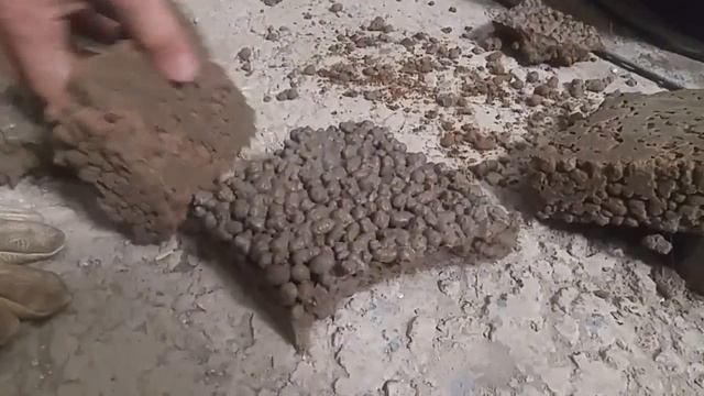 Керамзитобетон испытание на пятку. 5 суток выдержка смотреть онлайн