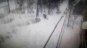 Лайфхак: Как избавиться от снега.