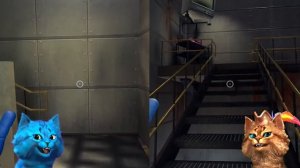 СУМАСШЕДШАЯ ИСТОРИЯ ИГРУШЕК Poppy Playtime Chapter 1 Совместное Прохождение КОТЁНОК ЛАЙК Весёлый Ко