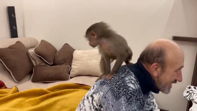 Ничего не ПРЕДВЕЩАЛО БЕДЫ, мы собрались домой, но тут на пути Люси ВСТАЛ ЦВЕТОК))) смотреть онлайн