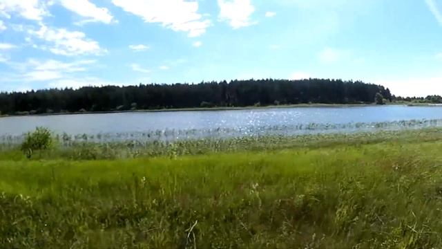 На велосипеде по нашему лесу. смотреть онлайн