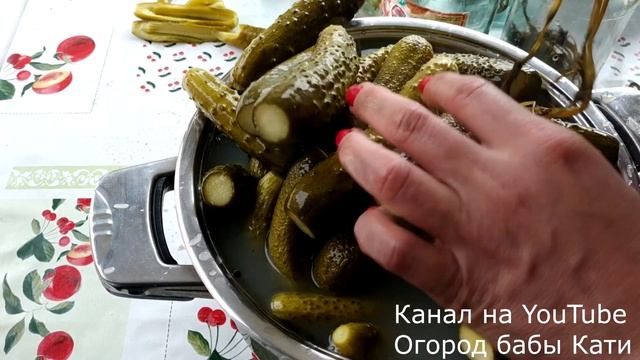 Почему листья желтеют и сохнут