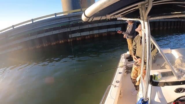 HUGE Flounder Opening Day Flounder Fishing смотреть онлайн