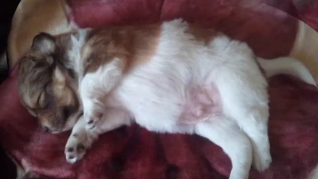 сон ребенка по имени Ричард смотреть онлайн