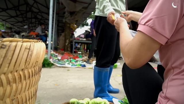 Harvest Eggplants, Vegetables To Market Upland For Sale - Harvesting Honey For Preservation