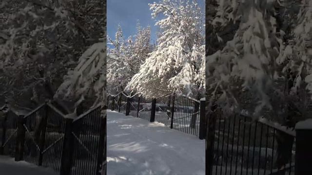 Зимушка, зима! смотреть онлайн