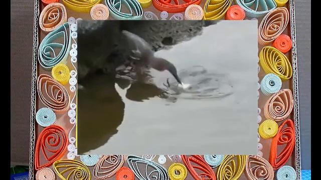 Птица ловит рыбу_ на приманку смотреть онлайн