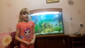 что нужно, чтобы завести домашних рыбок