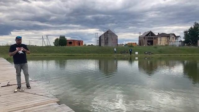 Стрим по ловле осетра смотреть онлайн