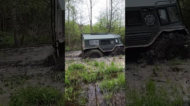 Лесными дорогами на вездеходе БРо гибрид смотреть онлайн