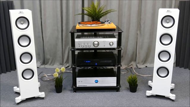 Акустика KEF Q550 & Dali Oberon 5 с усилителем Denon PMA-600NE. Что лучше?