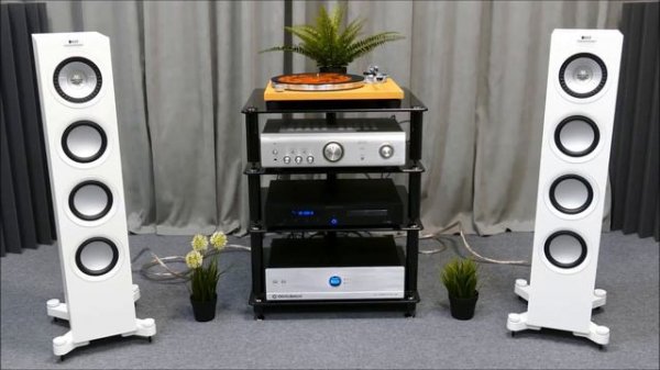 Акустика KEF Q550 & Dali Oberon 5 с усилителем Denon PMA-600NE. Что лучше?