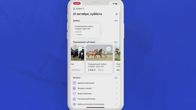 Единый каталог по мерам поддержки и компенсаций для жителей Республики Татарстан «Мои субсидии» смотреть онлайн