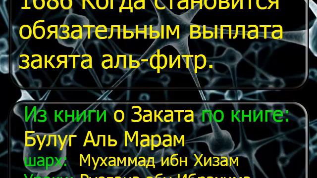 1686 Когда становится обязательным выплата закята аль фитр смотреть онлайн