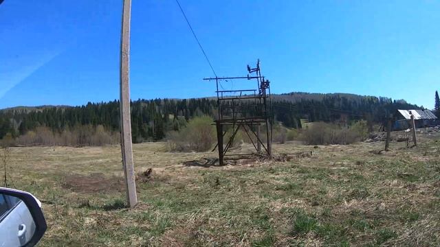 КУПИЛИ КЕДР и ЁЛКУ! 100 км В ГЛУБЬ! КАК ДЭН И САНЯ В ТАЙГУ ЕЗДИЛИ! Почти столярка! смотреть онлайн