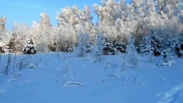 зимний лес ( Слайд-шоу ) смотреть онлайн