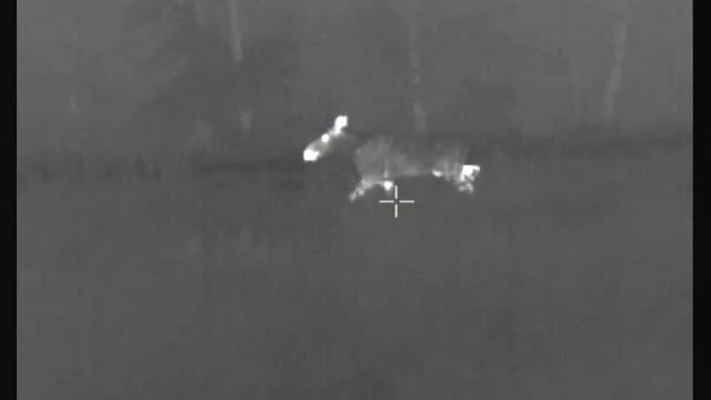 FILE000САПР1 смотреть онлайн