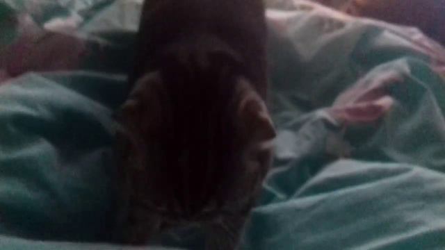 Раскопала яму и закрыла попой=) смотреть онлайн