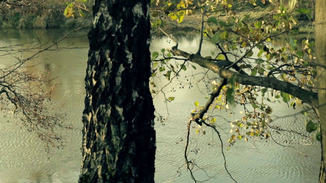 осень смотреть онлайн