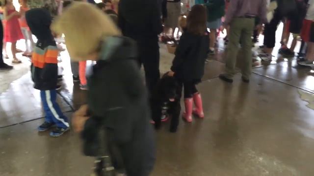 Blessing of the Pets смотреть онлайн