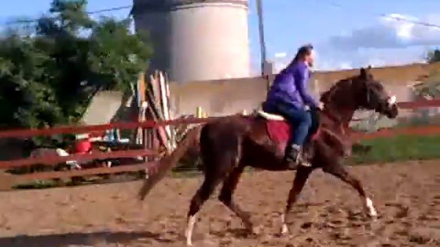 Лиля учится прыгать. смотреть онлайн