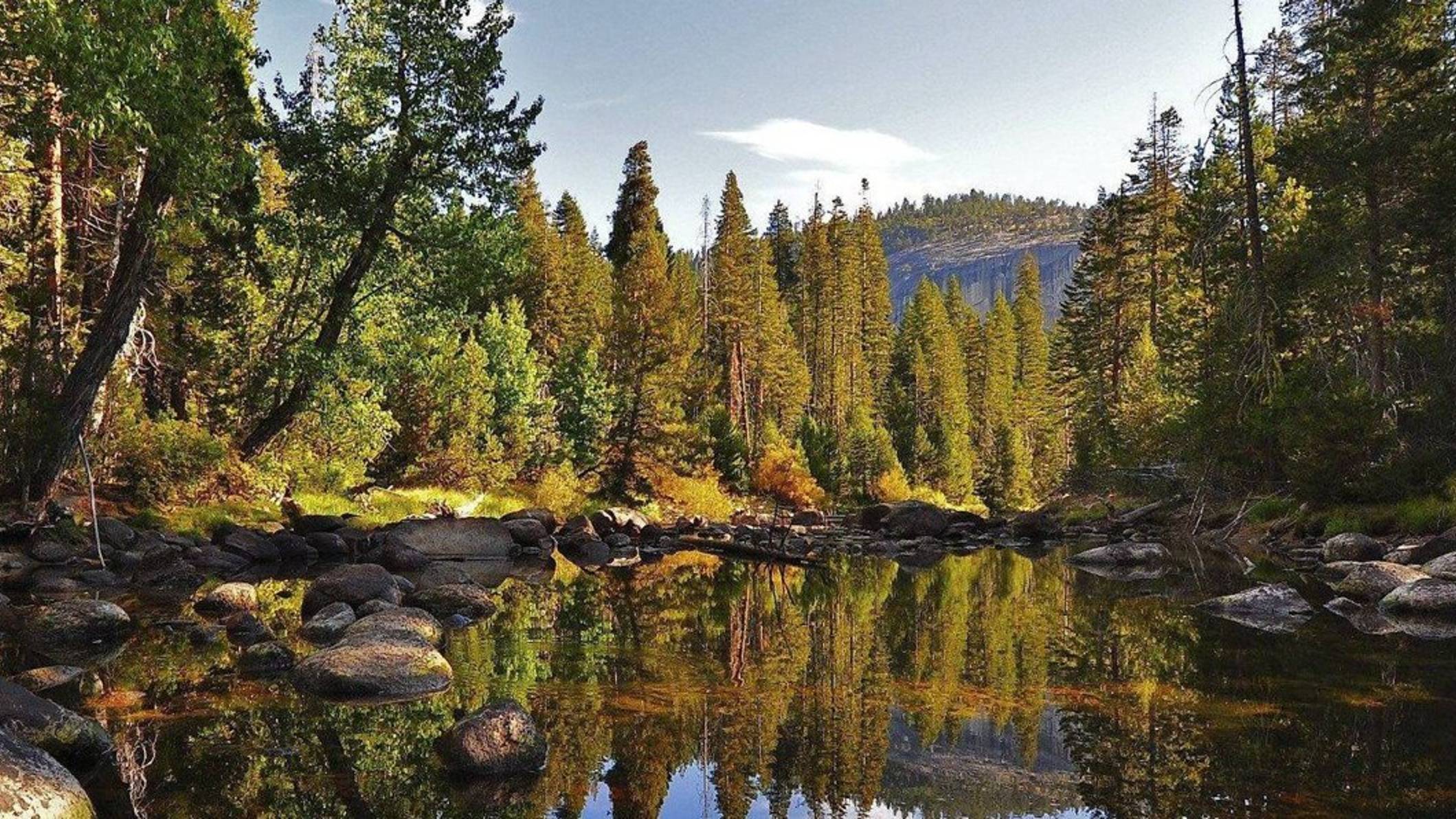 National Geographic: дикая природа России. Таежный край (2009) смотреть онлайн