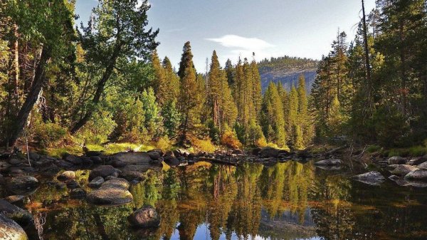 National Geographic: дикая природа России. Таежный край (2009)