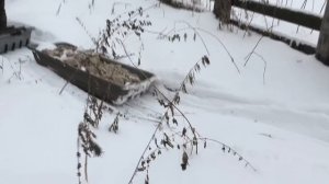 И чтец и жнец и в дуду дудец, ну в общем молодец Snowdog Twin Track V627.