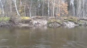 Suzuki df 6as заключение после сезона эксплуатации.