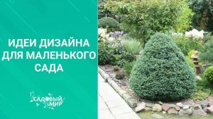 Идеи дизайна для маленького сада
