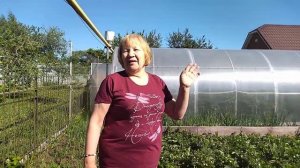 ОСОБЕННОСТИ ВЫРАЩИВАНИЯ РАЗНЫХ ВИДОВ КАПУСТЫ.  КАКАЯ ЛЮБИТ ТЕНЬ?