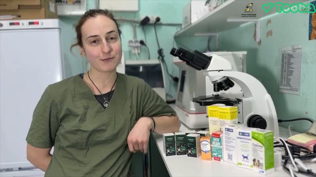 Благодарим друзей Tooba за помощь в закупке лекарств для долгожителей приюта! смотреть онлайн