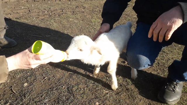 7 января 2022 г. С РОЖДЕСТВОМ !!! смотреть онлайн