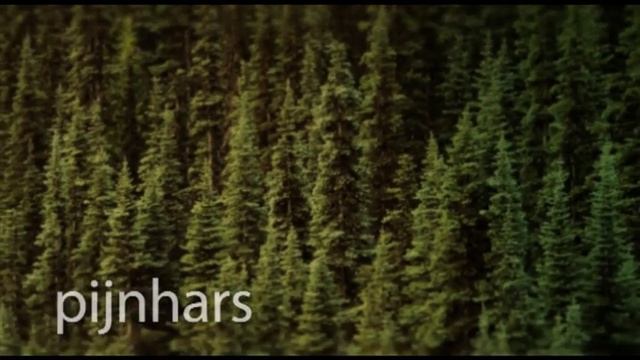 Linoleum grondstoffen | Forbo Flooring NL смотреть онлайн