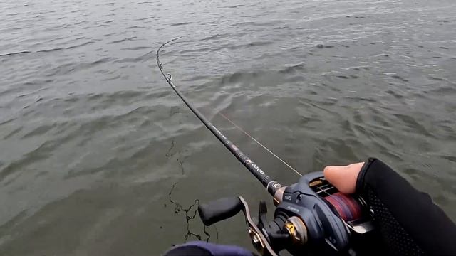 Поклевки на каждой проводке!!! С ХЭВИКОМ за тилапией, так можно?