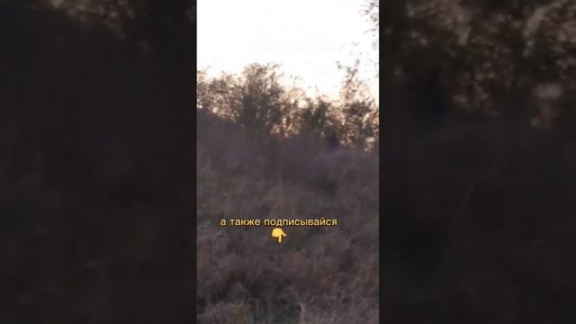 #самоделкин #изобретатель #кулибин #развлечения смотреть онлайн