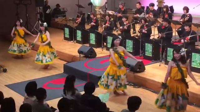 Kaimana Hila смотреть онлайн