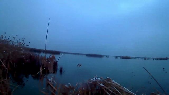 15.01.2018 охота на утку(5)