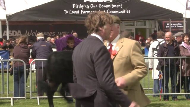 ABERDEEN ANGUS - BALMORAL SHOW 2013 смотреть онлайн