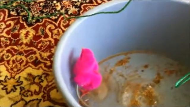 Pink chicken trys to escape. смотреть онлайн