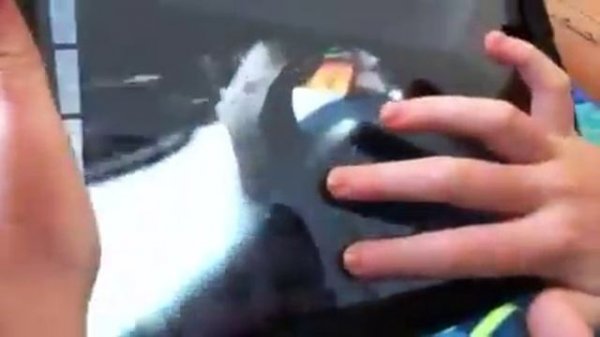 How to play Touch Grind BMX