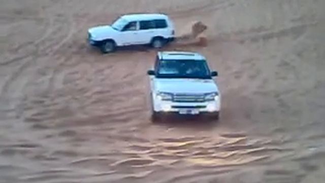 The Best Range Rover in Dubai! смотреть онлайн
