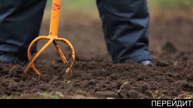 Купить Ручной Культиватор Корнеудалитель смотреть онлайн