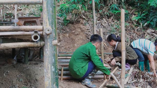 Leaving City Life, Living With Two Wives in the Green Forest, Build Stairs for Bamboo House - Ep.3 смотреть онлайн