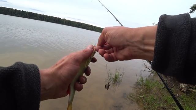 Рыбалка С Ночёвкой на Яузе. Мясо на Рожне. Настоящий Мужской Отдых.Спиннинг. Фидер. смотреть онлайн